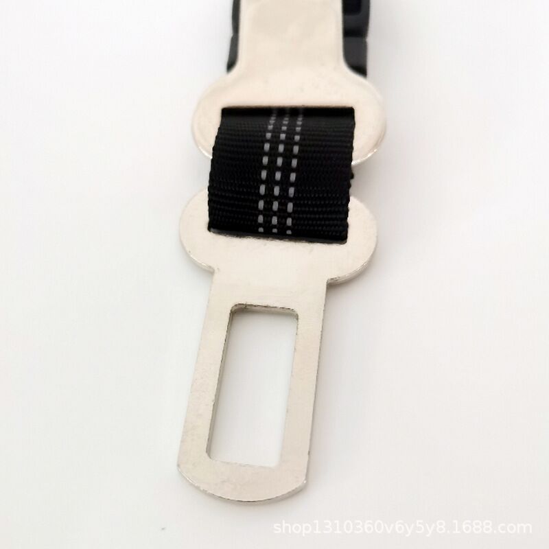 3664344031DCDE60F0551E3CFCBBAE