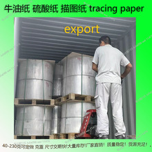 FSC&nbsp;50gsm&nbsp;Papel&nbsp;vegetal&nbsp;ţ�ͼ�  ���Ἀ���aTracing&nbsp;Paper