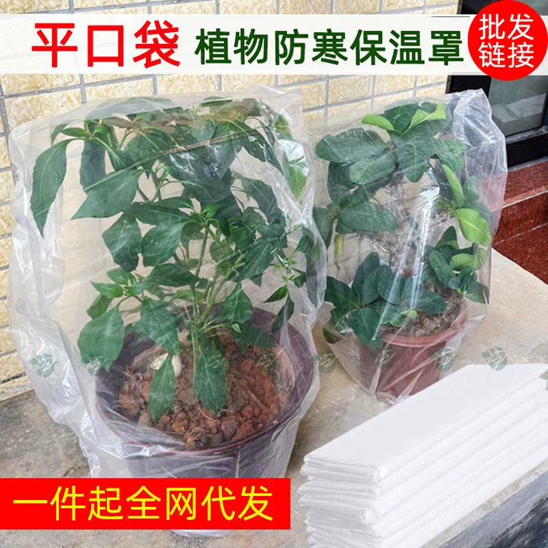 Прозрачная сумка Зеленый антифриз Изоляционный мешок для растений Пластиковая пленка Цветочный горшок для растений Зимний защитный чехол Деревья Морозостойкие Теплостойкие и пыленепроницаемые