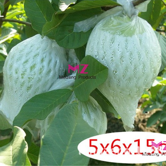 芭乐番石榴套袋水蜜桃水果网套珍珠一体有耳型泡沫胶袋珍珠棉套袋
