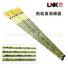 �羳�S�����l��������6.2��֧�������C�������֧������� ̼�ؼ�