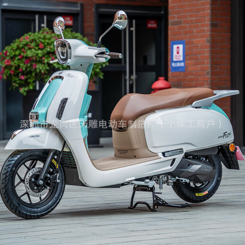 Auténtico Flying Eagle F150 retro literatura y arte motocicleta de dos ruedas Guo Si inyección eléctrica paso alternativo puede ser marca pedal de combustible nuevo