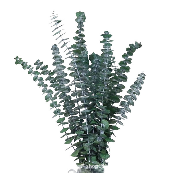 Amazon cross-border preserved flowers eucalyptus leaves copper coin…