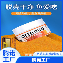 �S���r��Ó���ѿ�������~���_���~�Z��ȸ�~���С�����~��ĩ�~�Z