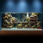 金晶超白玻璃鱼缸客厅桌面直角生态造景缸斗鱼金厂家代发批发直销