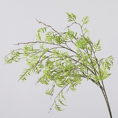 仿真绿植蕨叶 金沙蕨草软胶手感家居装饰样板间插花仿真植物蕨类