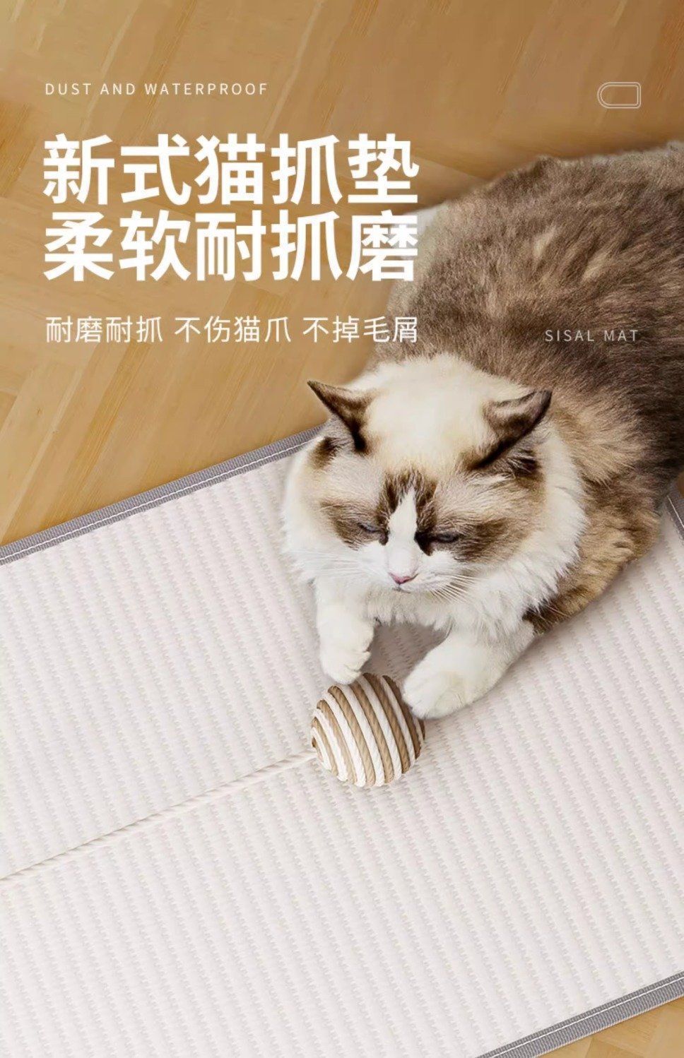 c947b0f6-f675-4411-9a95-0bc4fdc6df24.jpe