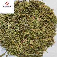 ����܎�á��Ȱ��~500g��؛��������ă������Ĕz��ș�����l�Ȱ��~