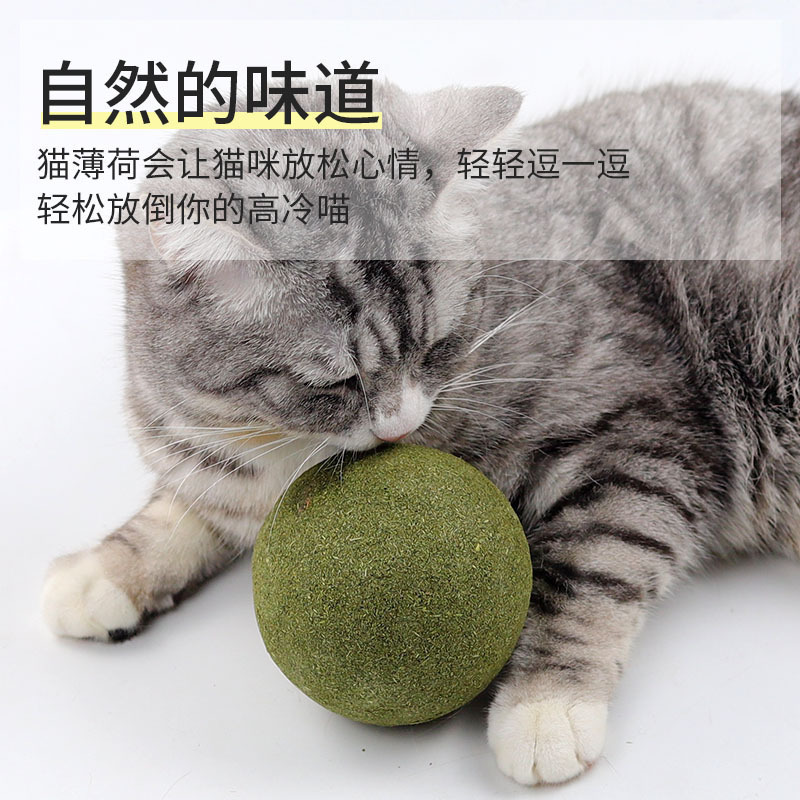 キャットミントボール 超大径ボール 自分で楽しんで退屈を和らげる歯ぎしり キャットミントおもちゃ ミントボール|undefined