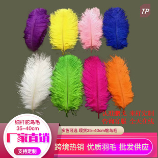 �i�깤�S���l�F؛��ë35-40cm�r�Bë ���U���|�������̨����