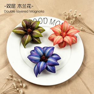 �羳�p�ӷ���ľ�m���ҾӔzӰС�[��EVA�ָмٻ�DIY�����^��ϰ�