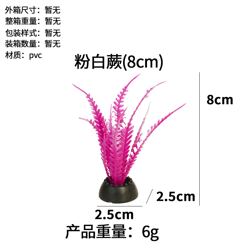 Helecho blanco (8cm)