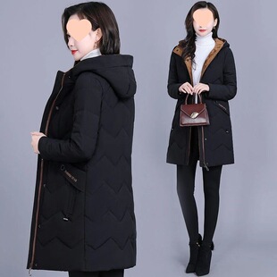 ����Ů���L��2026�����¿���b�n�挒�ɴ�a���\�Ӻ���q�޷�