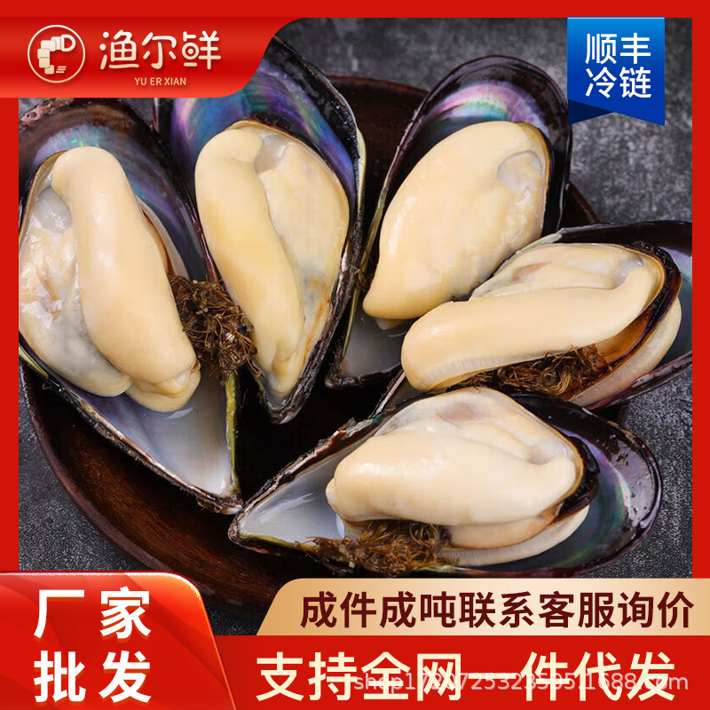 去半壳青口贝速冻蓝口贝绿唇贻贝海虹冷冻贝类海鲜鲜活去半壳贝商