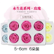 ������ �ɻ����� �r�����ldiyõ����滨�Ļ��^5-6�^B�����l