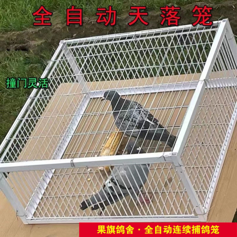户外加密鸽子天落笼全自动防锈只进不出收鸽笼撞门笼鸽子回收|undefined