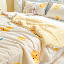 2025新款夏季双层纱夏被薄款可机水洗学生宿舍空调被单双人夏凉被