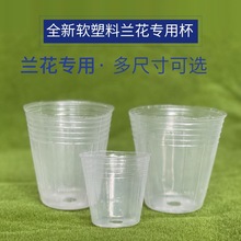 蝴蝶兰石斛育苗专用营养杯钵白色透明软花盆1.5寸2.5寸3寸4寸5寸