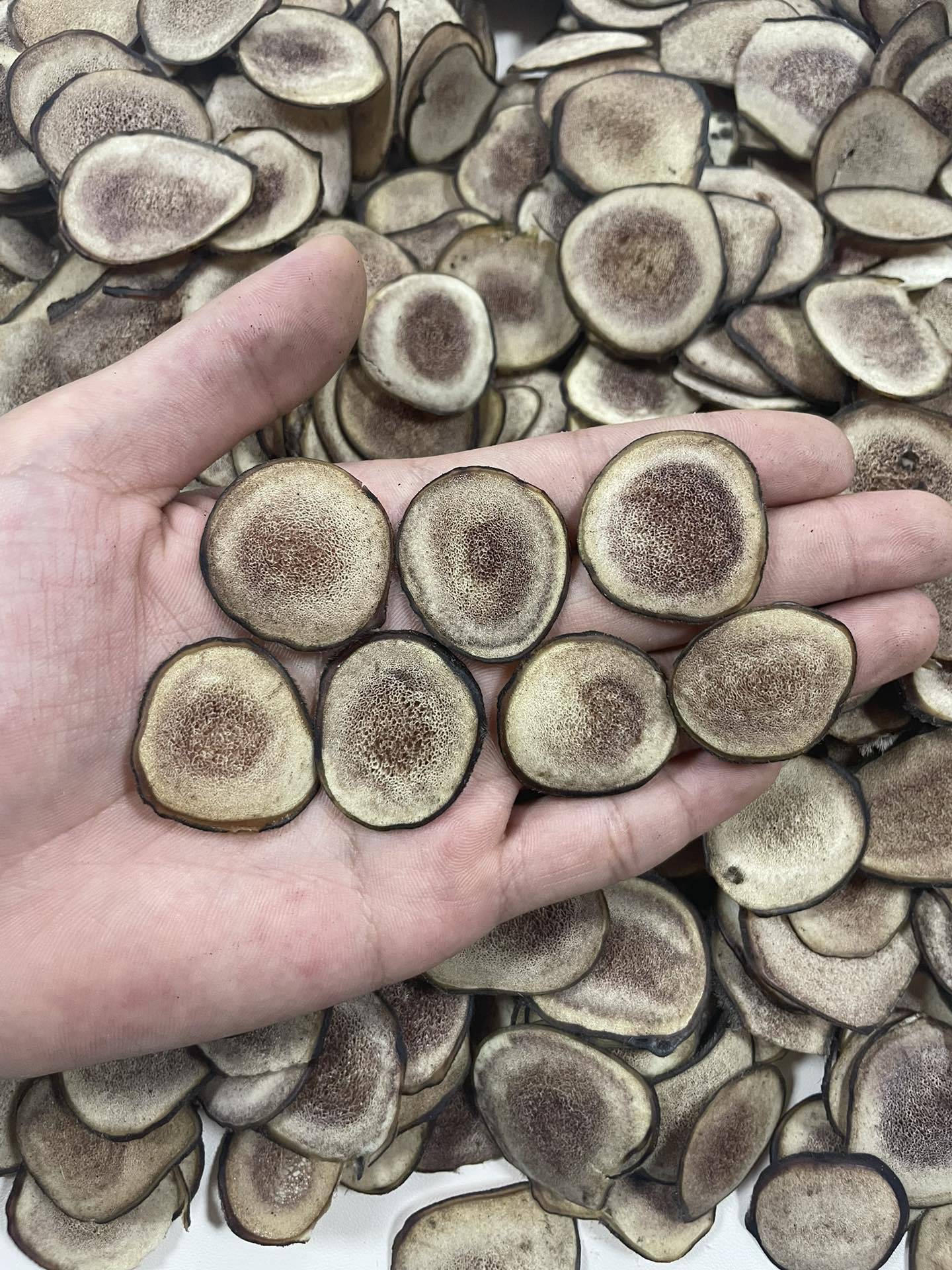 Dried Deer Antler Slices Xue Sha Pian Jilin Origin Traditional Herbal Decoction Pieces 10g quality and texture