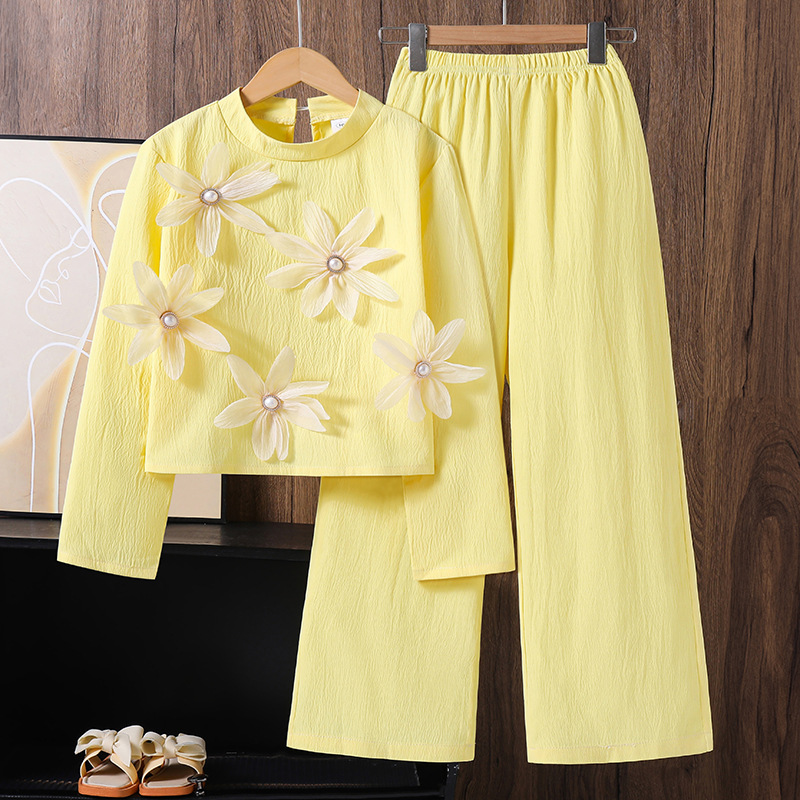 女大童套装2025秋季新款韩版女孩漂亮立体花花长袖上衣气质阔腿裤