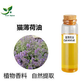 供应猫薄荷纯露 猫薄荷草水蒸馏萃取所得 猫薄荷纯露