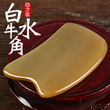 ����屳�����i���ð�ˮţ�ǹ��߲����ܰ�ȫ��ͨ�����w�i׵������
