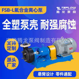 40FSB-20L氟塑料离心泵 卸酸碱泵  氟塑料合金化工泵 腾龙泵阀