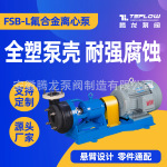 FSB氟塑料合金离心泵耐酸碱腐蚀化工泵输送强酸强碱 FSB氟塑料