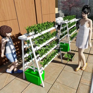 �ܵ��Nֲ�܃��ŷNֲ�N�˟o�������ݮ���̨ˮ���Č��߲˟o��