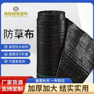 Greenhouse Weed-Proof Cloth Wholesale Orchard Vegetable Field Weeding Cloth New Planting Gardening Pe Anti-Weed Cloth Weeding Film