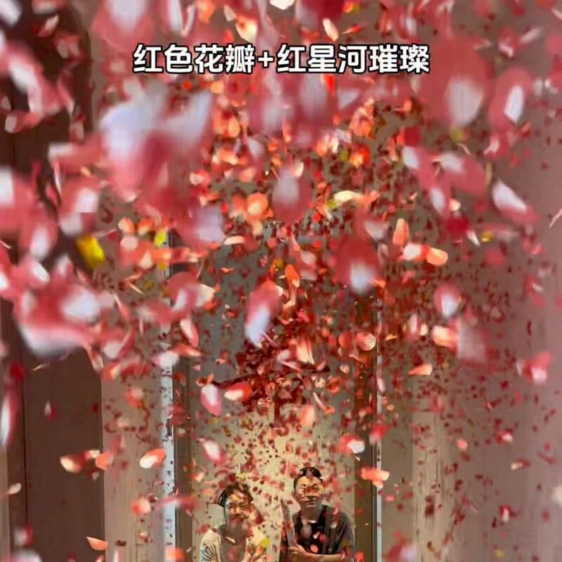 跨境满天星礼花筒星河璀璨婚庆生日派对聚会彩圆点花瓣结婚喷花筒|undefined