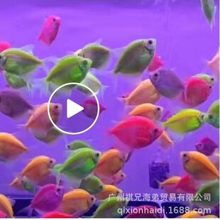 ������ �ǹ���ʹ�~ ��ɫ��ʹ �ɫ�S�C��l �t�� �S�¾G���ϻ���