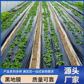 其他塑料薄膜;手账贴纸/胶带;农用薄膜