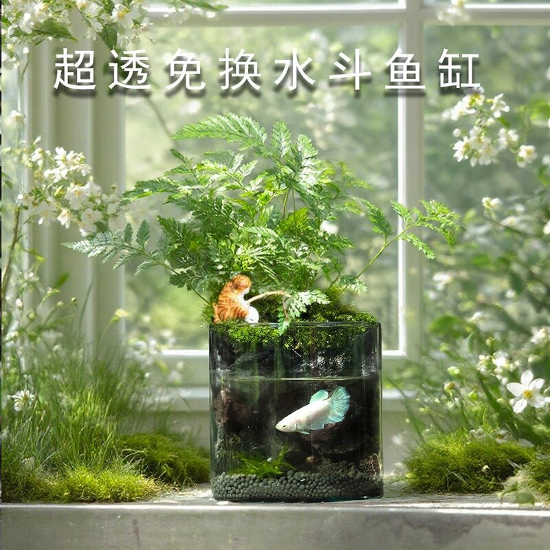 Ecological betta fish tank, no water change required, self-cleaning, ecological filtration, ecological circulation, traditional design, no electricity needed, ecological aquascape fish tank