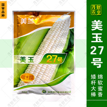 ���m����27̖��ζŴ���׷N����ζŴ�s�������׷N�����찫�U���