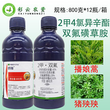 侨昌侨除43%2甲双氟磺草胺播娘篙麦篙荠菜猪秧秧小麦除草剂