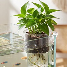 鱼缸水培植物篮水草种植杯壁挂式挺水植物固定支架杯造景装饰定植