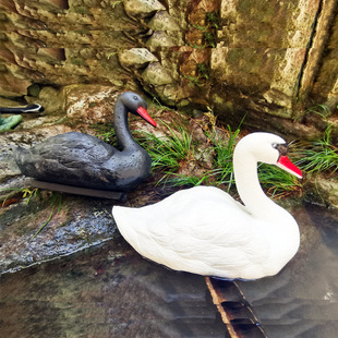 Courtyard ornaments floating duck animal outdoor rockery Villa fountain bait product simulation swan Black and White swan