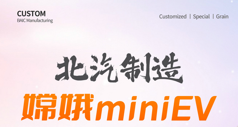 Beiqi Chang'e miniEV new energy car seat cover four seasons universal fully enclosed cushion Chang'e mini seat cover