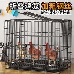 鸡笼子家用芦丁大号育雏小鸡养鸡鸭子阳台无臭养家庭鸡笼笼子