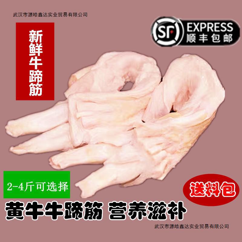 新鲜黄牛筋牛蹄筋 生蹄筋 牛脚筋 生鲜牛筋 牛蹄筋 清理干净发货