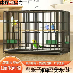 �B�\���W�^�B�\�ش�̖�������ۯB�B�\��Ƥ�˸�ĵ����ֳ�����B�\�S