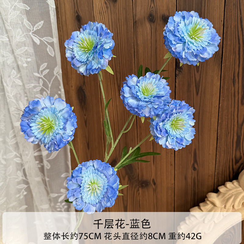 천겹꽃