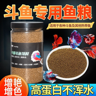 ���~���ͨ�������t���GС���^�p�~���С�w���ϸ���ϏS���l