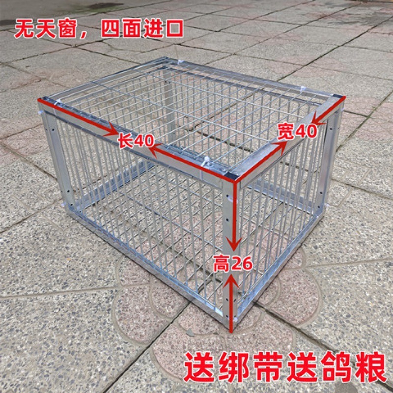 新款加密只进不出鸽子笼天落笼户外撞门笼全自动收鸽笼捕鸽子神器|undefined