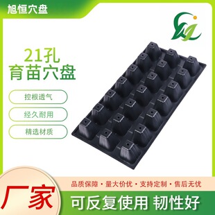 21������P�S�����l����Ѩ�P��ݮ���t���߲˶����������в�ѿ��