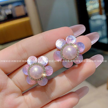 ��ʽ���������荶�ᔶ��h2025�¿�С���OӋ�߼��аٴ�s���Ů