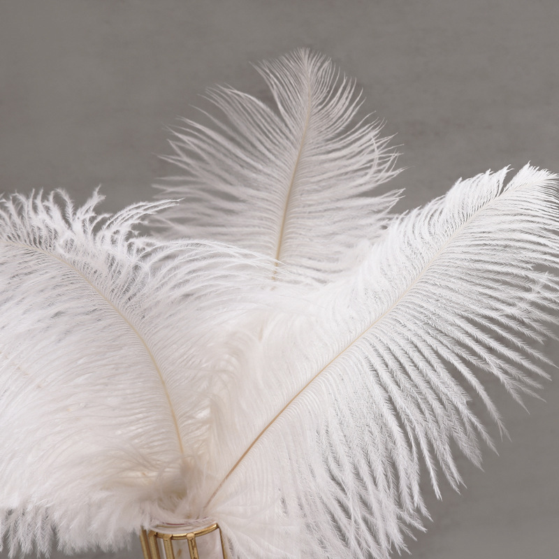 Decoración de ramo de flores plumas de avestruz blancas flores rosas materiales de embalaje de flores accesorios de plumas al por mayor image 3