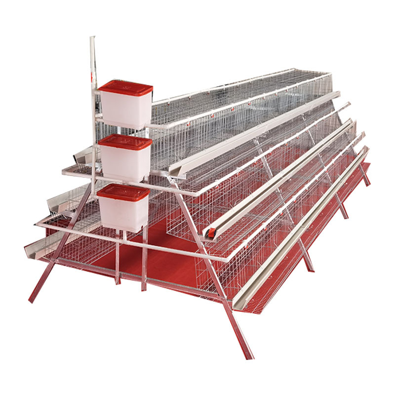 Gaula de huevos escalonada de tres capas de cuatro puertas Gaula de huevos galvanizado anti-oxidante equipos de cría de fábrica de ventas directas sin preocupaciones