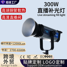 定制300W直播灯直播专用灯拍照摄影灯间补光灯球形柔光灯双色温